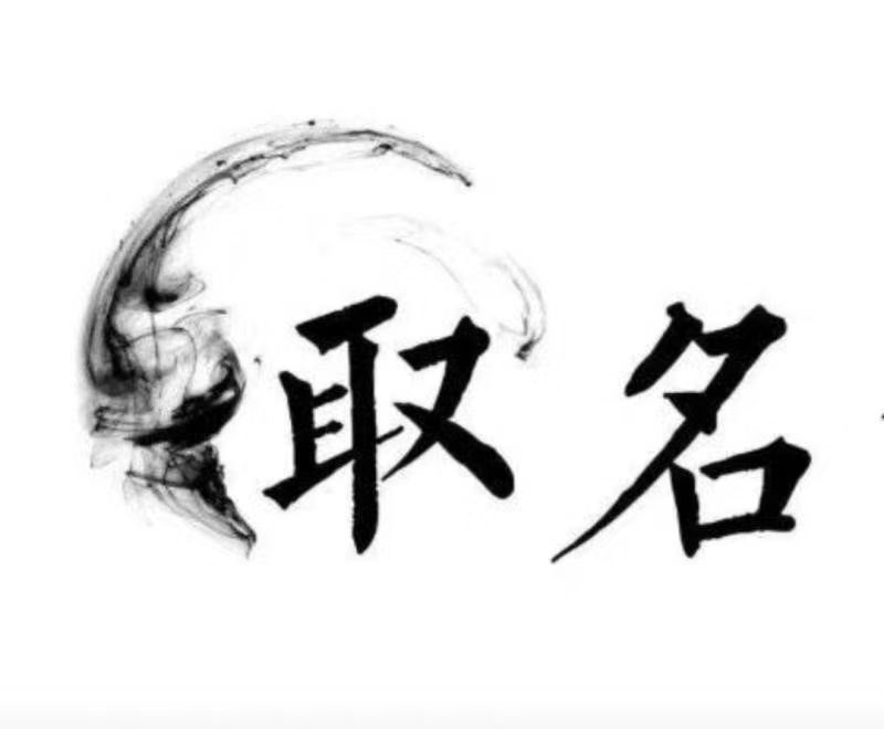  长子宝宝取名 大师一对一人工起名